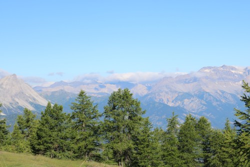 IMG_6980.jpg