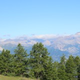 IMG_6980