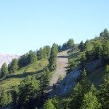 IMG_6981
