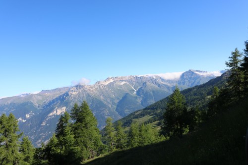 IMG_6986.jpg
