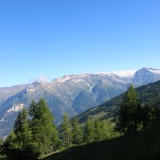 IMG_6986