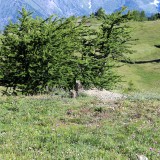 IMG_6995B