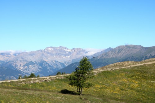 IMG_6997.jpg