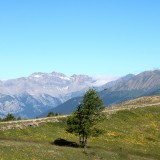 IMG_6997