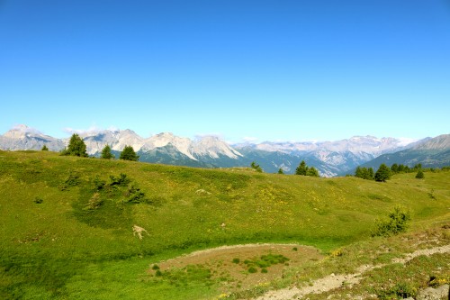 IMG_6998.jpg
