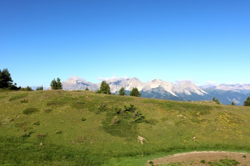 IMG_6999.jpg