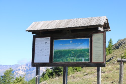 IMG_7000.jpg