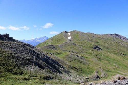 IMG_7017.jpg