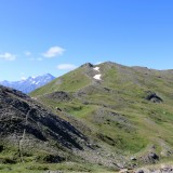 IMG_7017