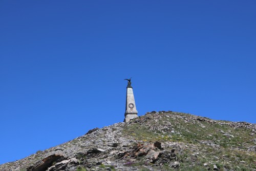 IMG 7029