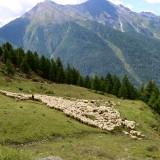 IMG_7034
