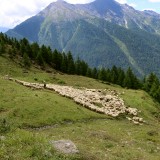 IMG_7035