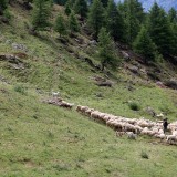IMG_7037B