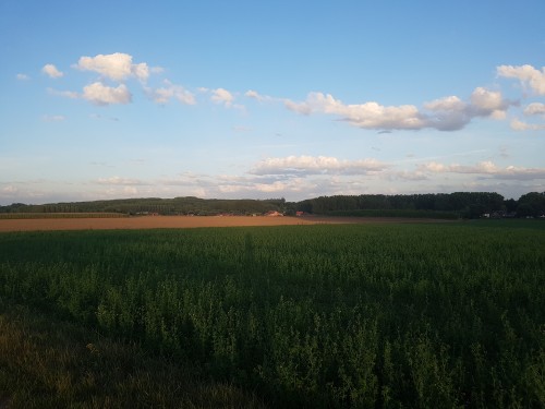 20200821_203036.jpg
