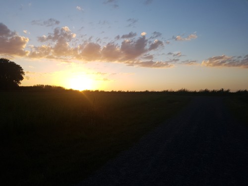 20200821_204522.jpg