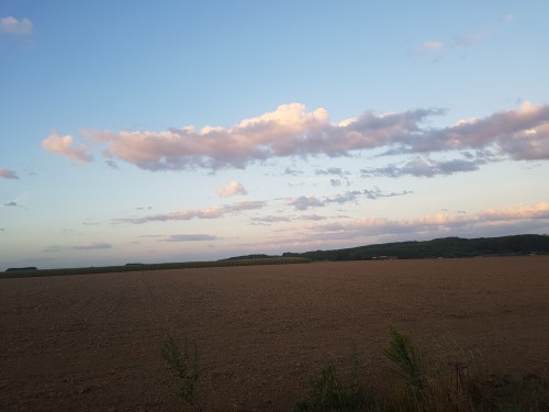 20200821_204739.jpg