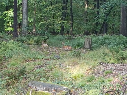 20200926_175450.jpg