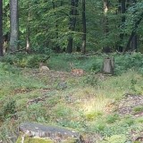 20200926_175450