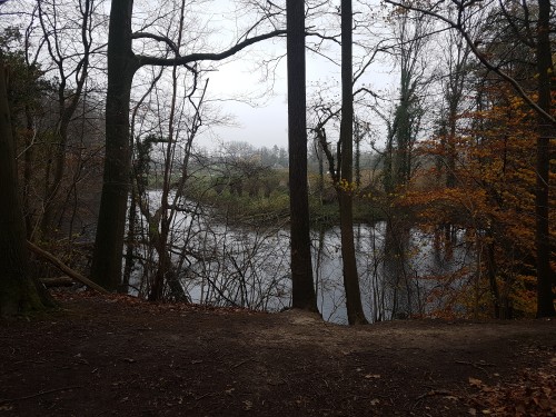 20201122_122104.jpg
