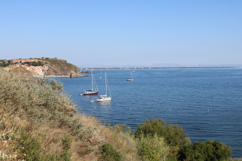 IMG_7060.jpg