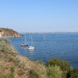IMG_7060