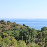 IMG_7062