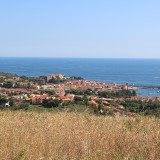 IMG_7066