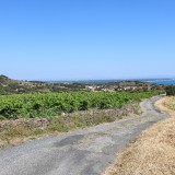 IMG_7067