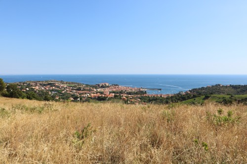 IMG_7069.jpg
