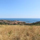 IMG_7069