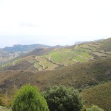 IMG_7073