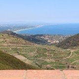 IMG_7077