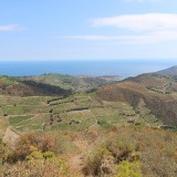 IMG_7079