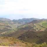 IMG_7081