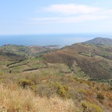 IMG_7084