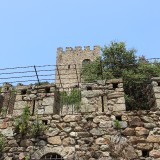 IMG_7089