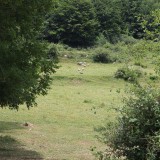 IMG_7098