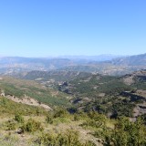 IMG_7158