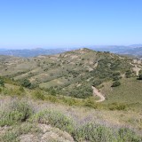 IMG_7160
