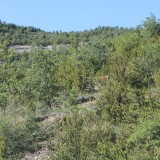 IMG_7170