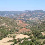 IMG_7178