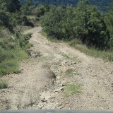 IMG_7186