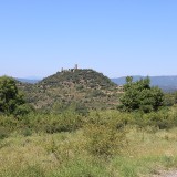 IMG_7192