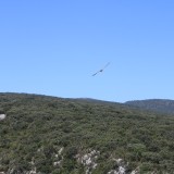 IMG_7230