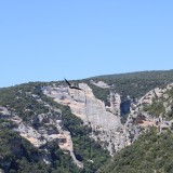 IMG_7251