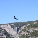 IMG_7253