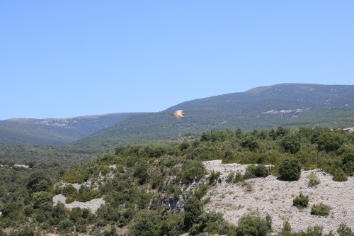 IMG_7267.jpg