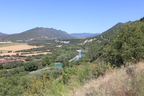 IMG_7284.jpg