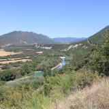 IMG_7284