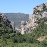 IMG_7290